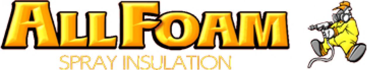 All Foam Spray Insulation (1378400)